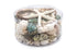 green and pearl seashell pack